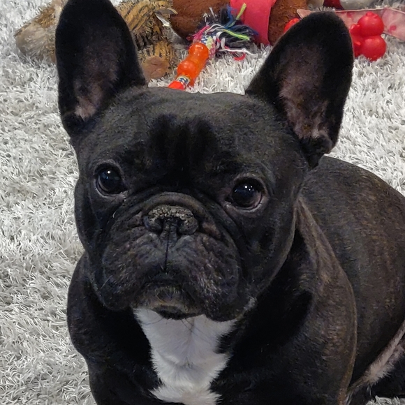 Meet your Posher, Jessica - Picture 6 of 11